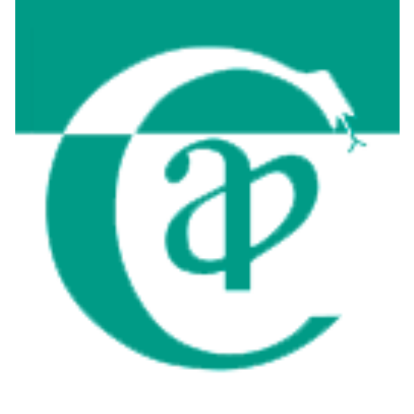 Image mise en avant site (1)